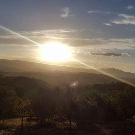 Casa Vacanza In Casale Vicino Orvieto Ficulle Dış mekan fotoğraf