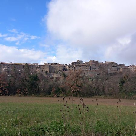 Casa Vacanza In Casale Vicino Orvieto Ficulle Dış mekan fotoğraf