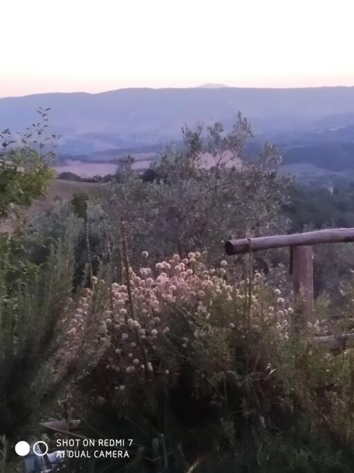 Casa Vacanza In Casale Vicino Orvieto Ficulle Dış mekan fotoğraf