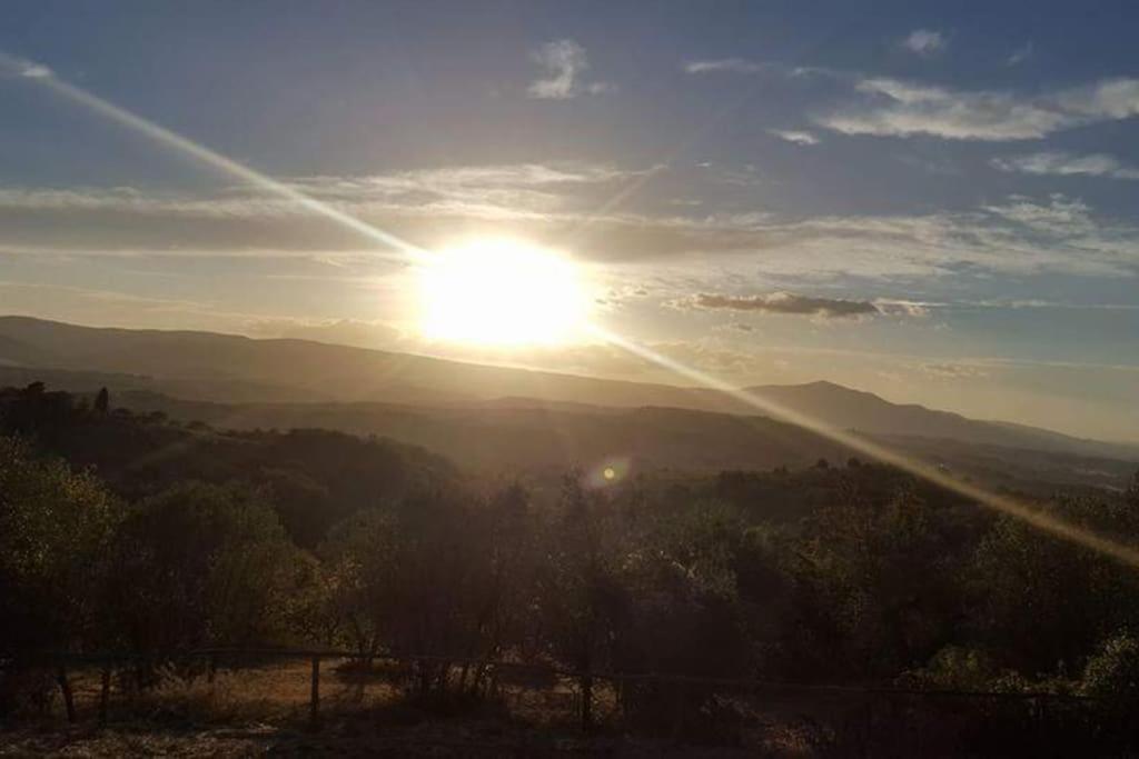 Casa Vacanza In Casale Vicino Orvieto Ficulle Dış mekan fotoğraf