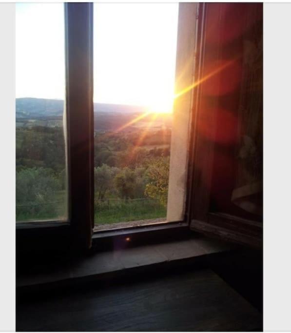 Casa Vacanza In Casale Vicino Orvieto Ficulle Dış mekan fotoğraf